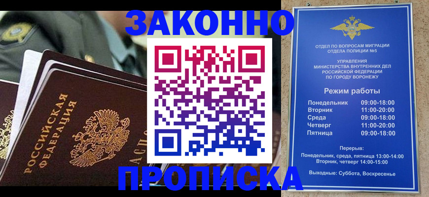 купить прописку в Бабаево
